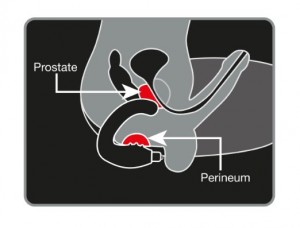 cómo usar el masajeador de próstata de niño travieso